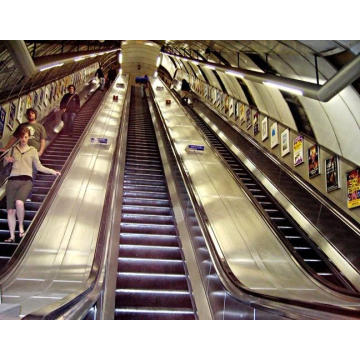 Einfacher Einkaufsladen-Hotel-Passagieraufzug Moving Sidewalk